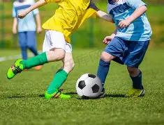 青岛海牛官,方辟谣拖欠,兰克尔,B体育官网,B体育平台,B体育链接,B体育官方