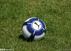 独家揭秘,萨拉赫未来,之路引关注,B体育官网,B体育平台,B体育链接,B体育官方