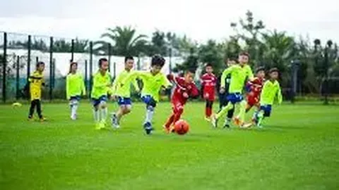 探究足球赛事深层意义与高效战术策略，增强观赛享受与竞技成果