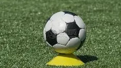 肯尼亚外汇经纪商翘楚：市场压力下预算挑战加剧